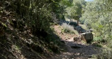 Seyahat yolunun görünümü