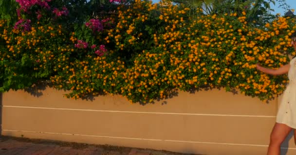 Hermosa mujer en el fondo de la pared de flores — Vídeos de Stock