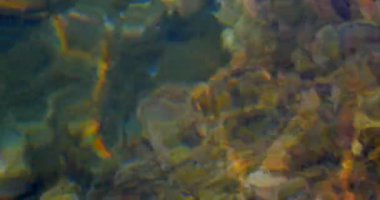 Soyut doğa yaz deniz arka plan