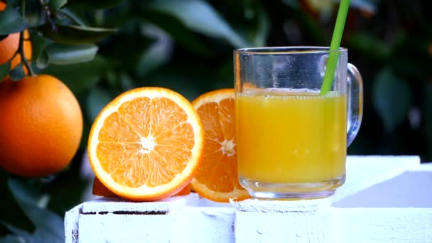 O copo de suco de laranja fica vazio — Vídeo de Stock