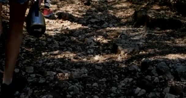 Close up de mulheres pernas caminhadas caminho da floresta — Vídeo de Stock