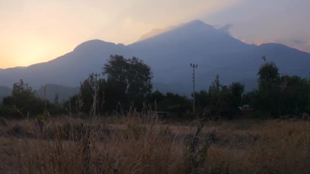 Gün batımında kuru çimenlerin arasında hareket etmek — Stok video