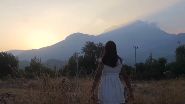Dansând sat tânără fată în câmp — Videoclip de stoc