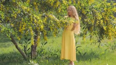 Baharda gülümseyen güzel bir kadın Avustralya Altın gıdak ağaçları.