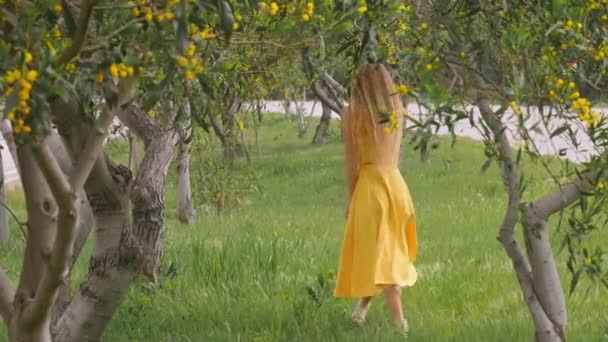 Baharda gülümseyen güzel bir kadın Avustralya Altın gıdak ağaçları. — Stok video