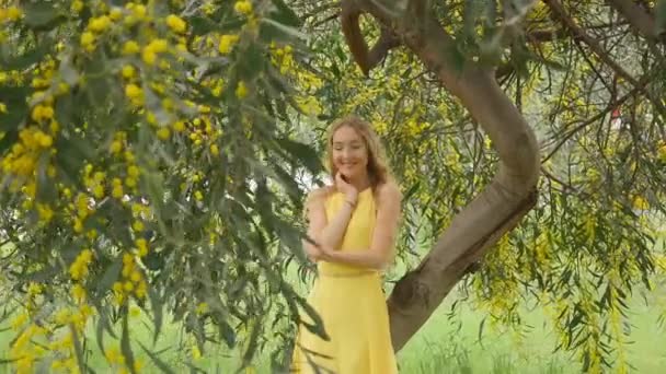 Junge schöne lächelnde Frau im Frühling australische Goldwattle-Bäume. — Stockvideo