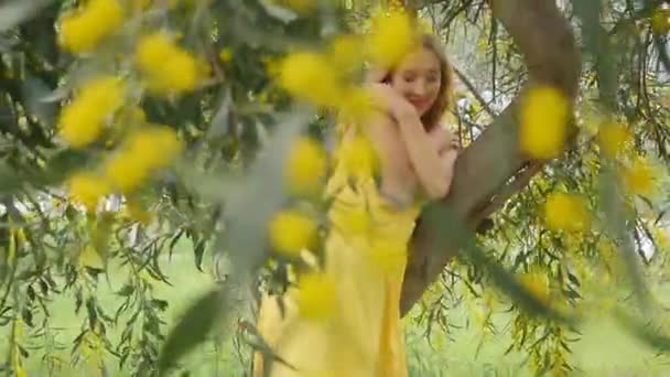 Jonge mooie glimlachende vrouw in het voorjaar Australische gouden wattle bomen. — Stockvideo