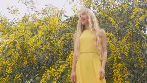 Giovane bella donna sorridente in primavera australiano Golden wattle alberi . — Video Stock
