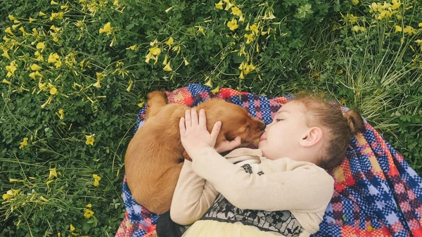 Mooi meisje spelen op groen gras met een puppy — Stockfoto