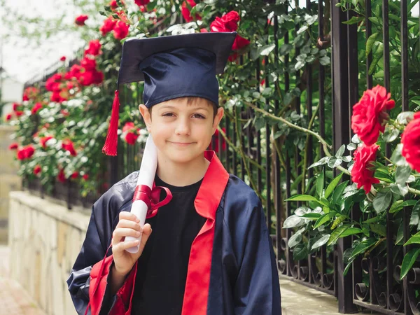Happy caucasian child in graduation gown with diploma standing near stone fence full of wild roses