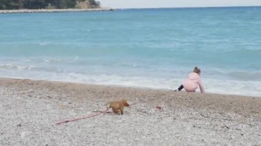 Küçük kız deniz kenarında onu köpek yavrusu ile oynuyor