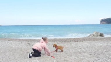 Küçük kız deniz kenarında onu köpek yavrusu ile oynuyor