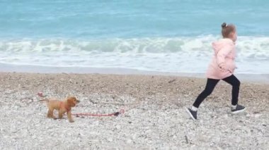 Küçük kız deniz kenarında onu köpek yavrusu ile oynuyor