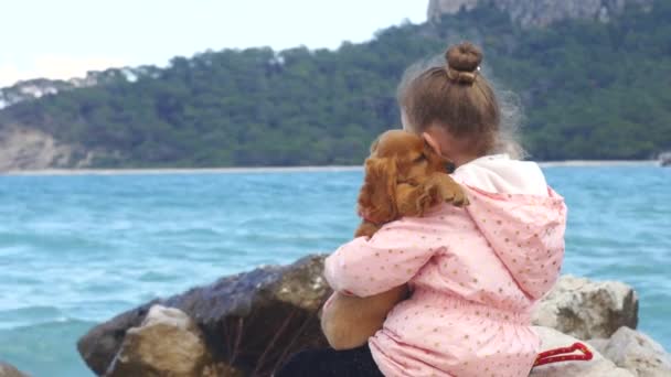 Menina sentada nas rochas com seu cachorrinho doce — Vídeo de Stock