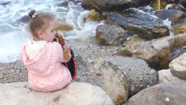 Mała dziewczynka siedzi na skałach ze swoim słodkim szczeniakiem — Wideo stockowe