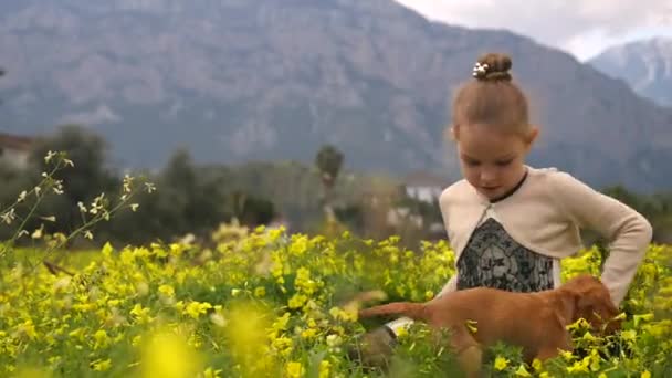 Pretty Girl sitter i gula blommor fält och håller i hennes händer valp — Stockvideo