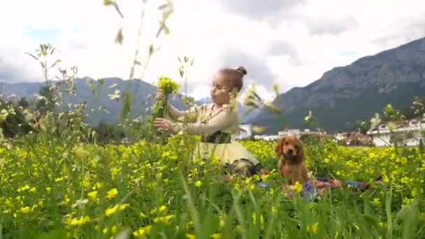 Linda chica sentada en el campo amarillo con un cachorro — Vídeos de Stock