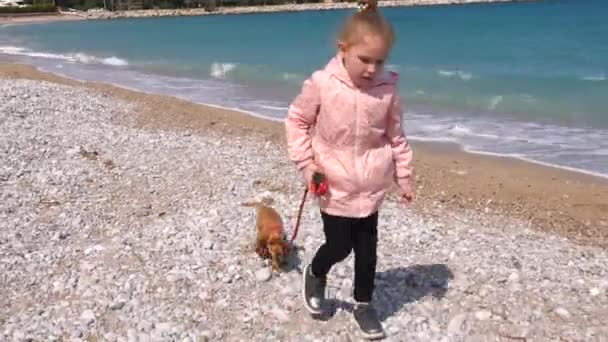 Niña paseando a su cachorro con la correa — Vídeos de Stock