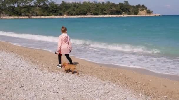 Маленькая девочка выгуливает щенка на поводке — стоковое видео