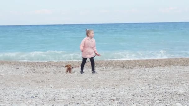 Bambina camminando il suo cucciolo al guinzaglio — Video Stock