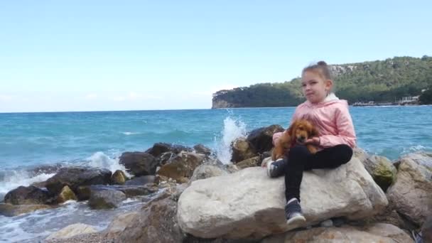 Menina sentada nas rochas com seu cachorrinho doce — Vídeo de Stock