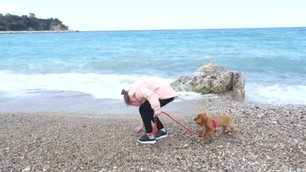 Kislány sétált neki kiskutya a pórázon — Stock videók