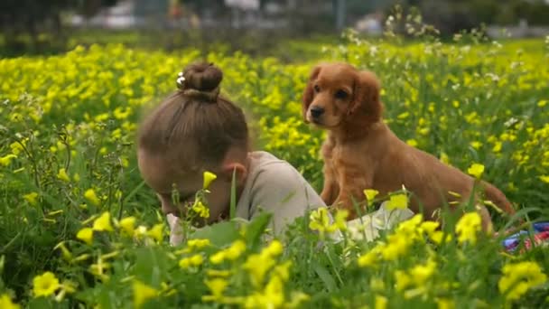 Menina bonita jogando na grama verde com um cachorro — Vídeo de Stock