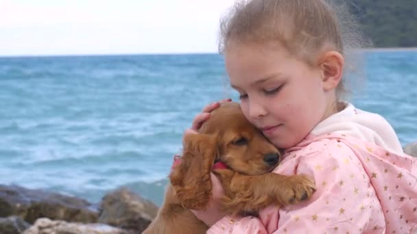 Little girl sitting on the rocks with her sweet puppy — Stock Video