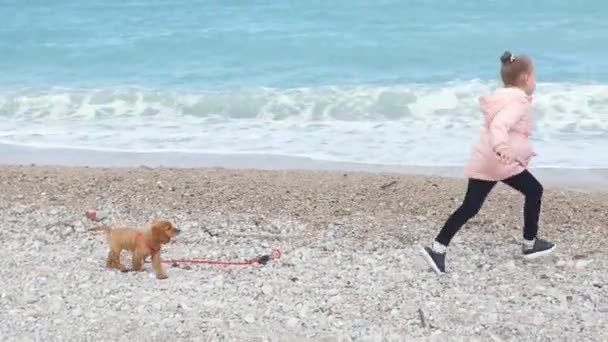 Petite fille jouant avec son chiot près de la mer — Video