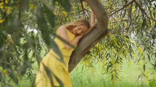 年轻美丽的微笑的女人在春天的澳大利亚金雀花树上. — 图库视频影像