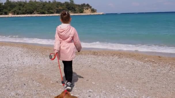 Petite fille promenant son chiot en laisse — Video