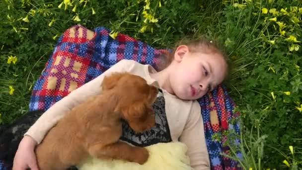 Chica bonita jugando en la hierba verde con un cachorro — Vídeo de stock