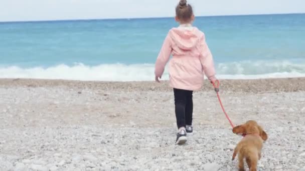 Niña paseando a su cachorro con la correa — Vídeo de stock