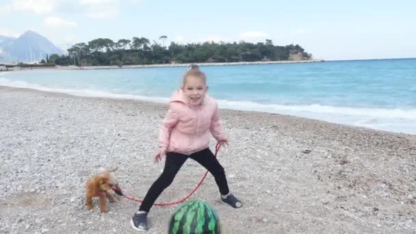 Klein meisje loopt haar pup aan de leiband — Stockvideo