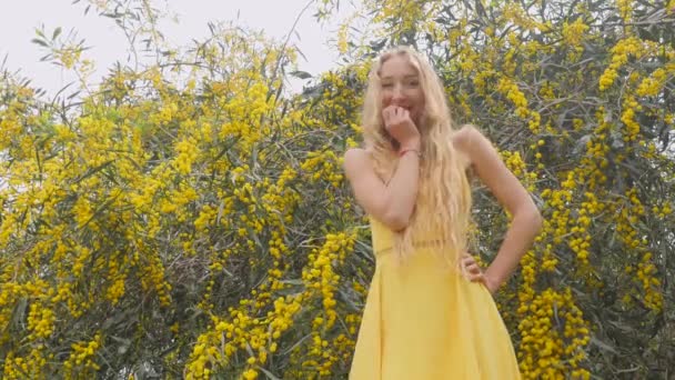 Giovane bella donna sorridente in primavera australiano Golden wattle alberi . — Video Stock
