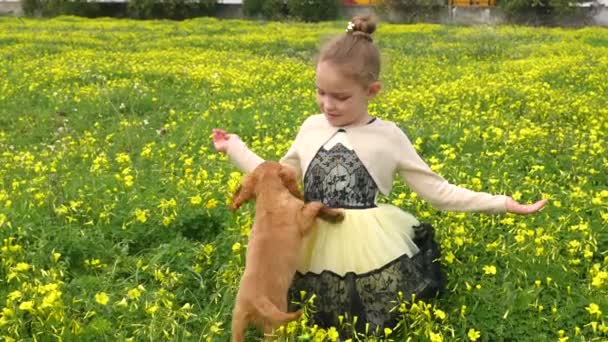 Menina bonita jogando na grama verde com um cachorro — Vídeo de Stock