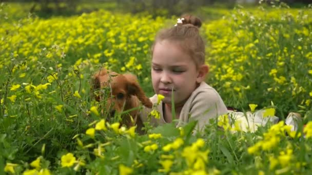 Hermosa chica jugando sobre hierba verde con un cachorro — Vídeo de stock