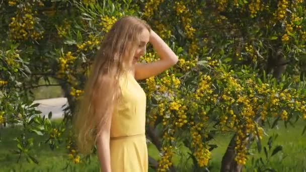 Młoda, piękna, uśmiechnięta kobieta wiosną australijskie złote drzewka. — Wideo stockowe