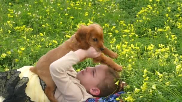 Menina bonita jogando na grama verde com um cachorro — Vídeo de Stock