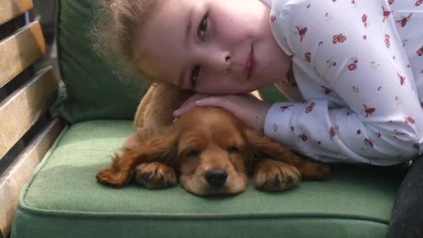 Pretty girl sitting with her puppy on the sofa — Stock Video