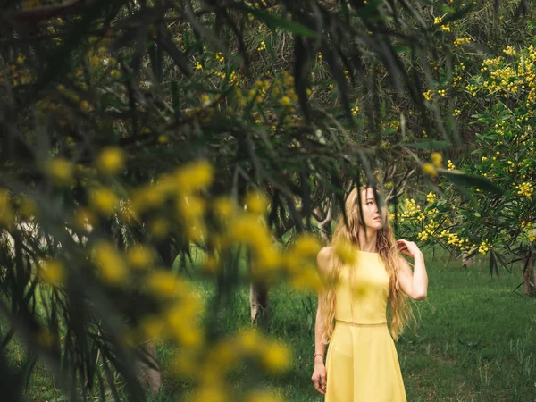 Young beautiful smiling woman in spring Australian Golden wattle trees. — 스톡 사진