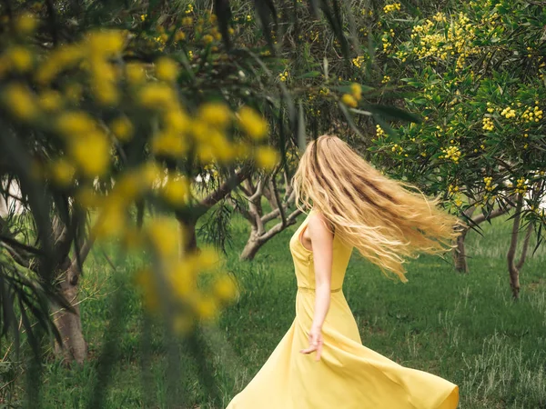 Giovane bella donna sorridente in primavera australiano Golden wattle alberi . — Foto Stock