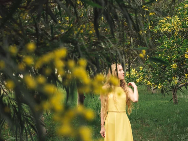 Junge schöne lächelnde Frau im Frühling australische Goldwattle-Bäume. — Stockfoto