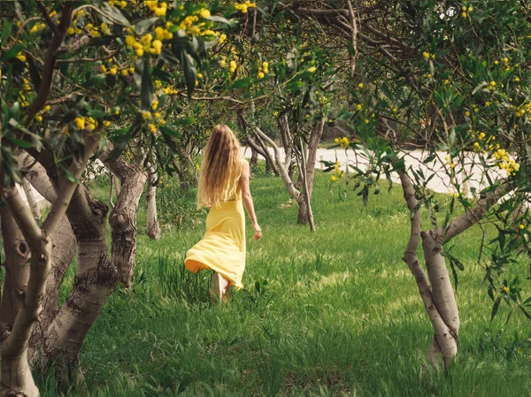 Baharda gülümseyen güzel bir kadın Avustralya Altın gıdak ağaçları. — Stok fotoğraf