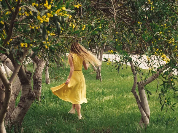 Junge schöne lächelnde Frau im Frühling australische Goldwattle-Bäume. — Stockfoto