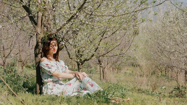 若いです美しいです女性で長いドレス座っている下に咲く梅の木 — ストック写真