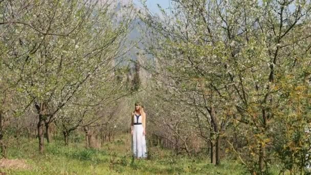 Jeune belle femme en robe longue debout dans le jardin de fleur de printemps — Video