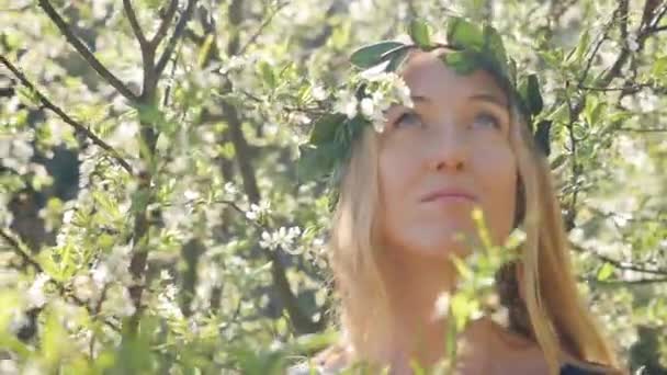 Young beautiful woman portrait in blossom plum trees. — 비디오