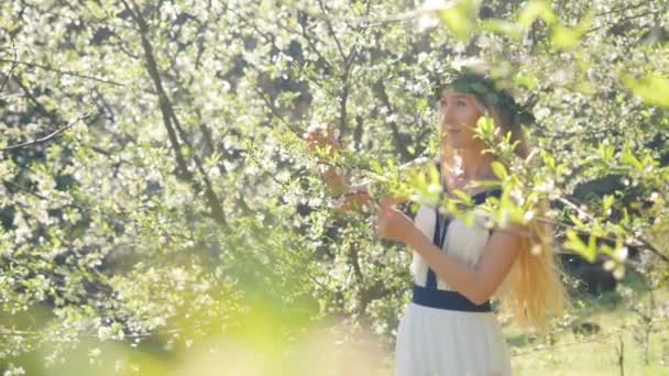 Joven hermosa mujer tocando ramas de ciruela florecientes — Vídeos de Stock