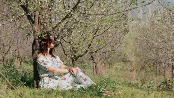 Junge schöne Frau im langen Kleid sitzt unter blühendem Pflaumenbaum — Stockvideo